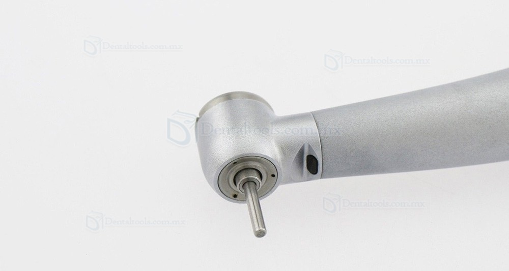 BEING Lotus 302/303PBQ Pieza de mano de turbina con fibra &oacute;ptica compatible con KAVO